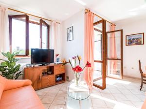 Televízia a/alebo spoločenská miestnosť v ubytovaní Apartment Orhideja by Interhome