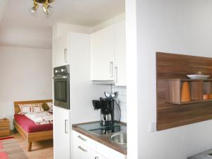 德勒斯登的住宿－阿帕特公寓，一间厨房,配有白色橱柜和水槽,还有一间房间