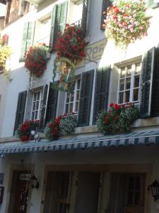 
a row of windows with flowers on them at Hotel zum alten Schweizer in Twann
