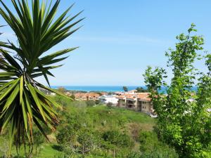 palma i domy na wzgórzu z oceanem w obiekcie Holiday Home Michela-2 by Interhome w mieście Pineto