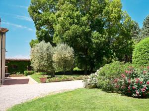 A garden outside Apartment Bardeggiano - Caterina 2 - COL245 by Interhome