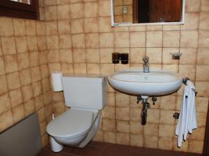ein Bad mit einem WC und einem Waschbecken in der Unterkunft Apartment Resort al Centro-1 by Interhome in Massagno