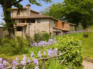 PelagoにあるApartment Villa Grassina-2 by Interhomeの紫の花々が目の前に咲く古い石造りの家