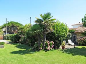 a palm tree in the middle of a yard at Holiday Home La Poste by Interhome in Mimizan-Plage