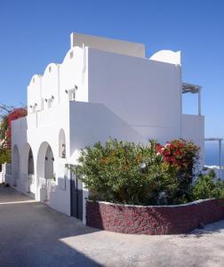 a white building with a large bush in front of it at Muses Cycladic Suites in Oia