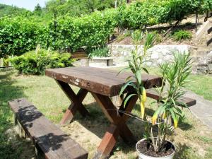 einem hölzernen Picknicktisch neben einer Topfpflanze in der Unterkunft Holiday Home Kopacsi by Interhome in Badacsonyörs