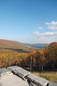 eine hölzerne Promenade in der Mitte eines Feldes in der Unterkunft Apartment Havsdalsgrenda - HLD103 by Interhome in Geilo