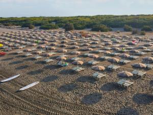 - une vue aérienne sur une plage dotée de chaises et de parasols dans l'établissement Holiday Home Ostro by Interhome, à Marina di Bibbona