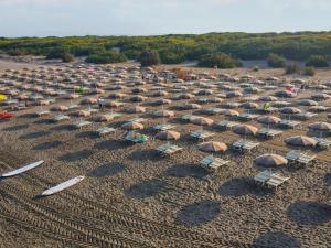 an aerial view of a beach with chairs and umbrellas at Holiday Home Ostro by Interhome in Marina di Bibbona