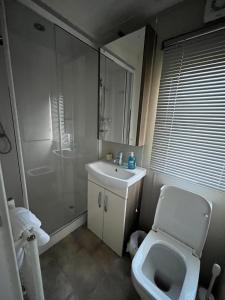 a bathroom with a toilet and a sink and a shower at Hazel Oaks, Beautiful Lodge with Hot Tub - Sleeps 6 - Felmoor Park in Morpeth