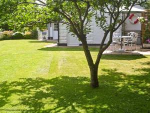 a tree in a yard next to a house at Severn Bank Lodge in Shrawley