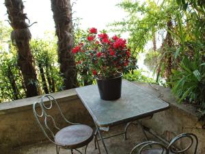CastagnolaにあるHoliday Home Cas'Anita by Interhomeの鉢植えのテーブルと椅子