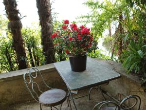 una mesa y sillas con una maceta. en Holiday Home Cas'Anita by Interhome en Castagnola