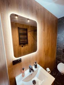 bagno con lavandino e specchio di Apartamenty KTW Park Śląski - Family DELUX a Katowice
