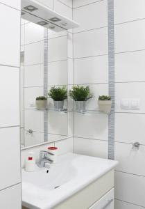 La salle de bains est pourvue d'un lavabo et d'un miroir. dans l'établissement Modern apartment Michalska 6, à Prague