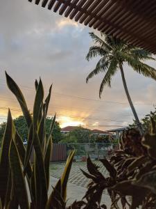 a palm tree and some plants with the sunset in the background at Sol Sanctum - Boutique Wellness Hotel in Gros Islet