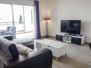 sala de estar con sofá y TV de pantalla plana en Apartment Terrasse de Lucie by Interhome, en Saint-Cyprien