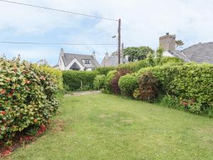 a yard with bushes and a house in the background at Bedlinog in Amlwch