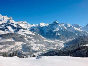 GerschnialpにあるApartment Chalet Fluegärtli by Interhomeの雪山連峰と渓谷の景色