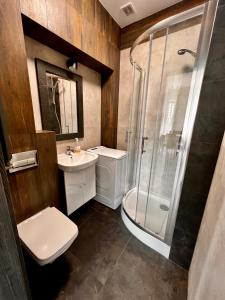 e bagno con doccia, servizi igienici e lavandino. di Apartament na Maja -2- a Skierniewice