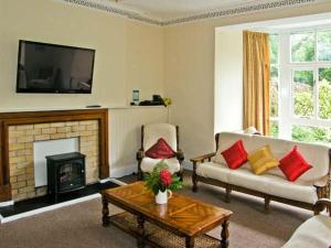 a living room with a couch and a fireplace at Bryn Cemlyn in Llanfachreth