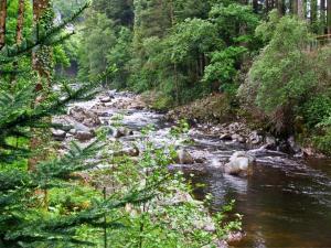 Foto da galeria de Bryn Cemlyn em Llanfachreth