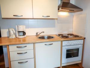 Il comprend une petite cuisine équipée d'un évier et d'une cuisinière. dans l'établissement Apartment Taubenschlag - Top 4 by Interhome, à Grünau im Almtal