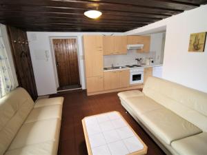 salon z kanapą i kuchnią w obiekcie Apartment Fuchsbau-Top 2 by Interhome w mieście Grünau im Almtal