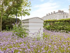 a garden with purple flowers in front of a building at Sea Breakers Cottage in Filey