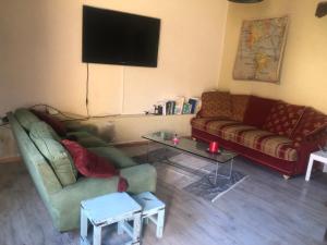 sala de estar con 2 sofás y TV de pantalla plana en Le Merlat Gite en Beaucaire