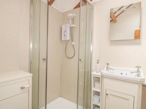 a bathroom with a shower and a sink at The Cow Cott in Peterchurch