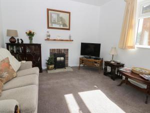 Alberts Lodge في Boultham: غرفة معيشة بها أريكة وتلفزيون
