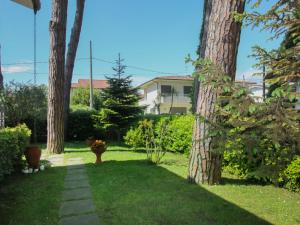 einen Garten mit zwei Palmen und einem Gehweg in der Unterkunft Holiday Home Patrizia by Interhome in Marina di Pietrasanta