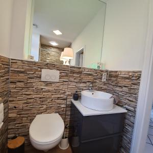 a bathroom with a toilet and a sink at Ferienwohnung Eschenbeek in Wuppertal