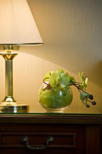 Foto dalla galleria di Hotel Stefanik a Myjava
