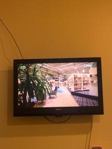 TV a/nebo společenská místnost v ubytování Delta 1 - two big beds
