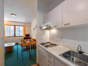 Kuchyň nebo kuchyňský kout v ubytování Apartment Lanovka-7 by Interhome