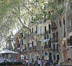 Hostia v ubytovaní Rambla Palma Center