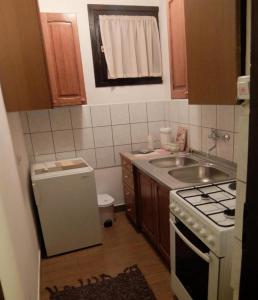 Kuchyň nebo kuchyňský kout v ubytování Apartments & Rooms Rendulić