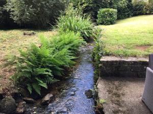 a stream of water with plants in a yard at penty breton in Pouldreuzic