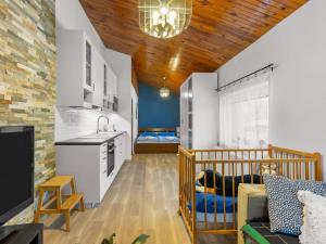 Kuchyň nebo kuchyňský kout v ubytování Holiday Home Desná v Jizerských horách by Interhome