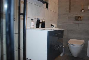 łazienka z umywalką i toaletą w obiekcie Kryjówka Męża w mieście Zawiercie