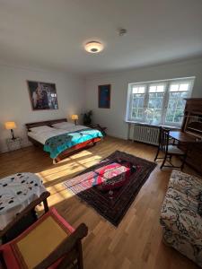 1 dormitorio con 1 cama y sala de estar en Villa am Park, en Bremerhaven