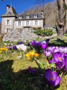 a group of purple and yellow flowers in front of a house at La Demeure de Cyr in Saint-Chamant