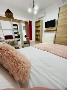 - une chambre avec un grand lit et une télévision dans l'établissement Xclusive apartment, à Iaşi