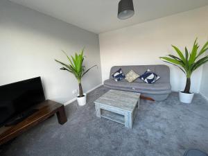 a living room with a couch and two potted plants at Stylish & Comfortable 3BR Spacious Home with Parking in Greenhill