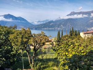 a view of a town and a lake with mountains at Holiday Home Giò by Interhome in Perledo
