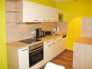 Kuchyň nebo kuchyňský kout v ubytování Apartment Tulpe by Interhome
