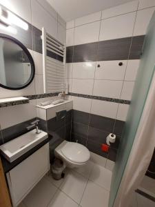 A bathroom at Palma Vendégház