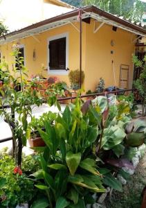 a garden in front of a house with plants at Mitsani Country House in Ágios Matthaíos